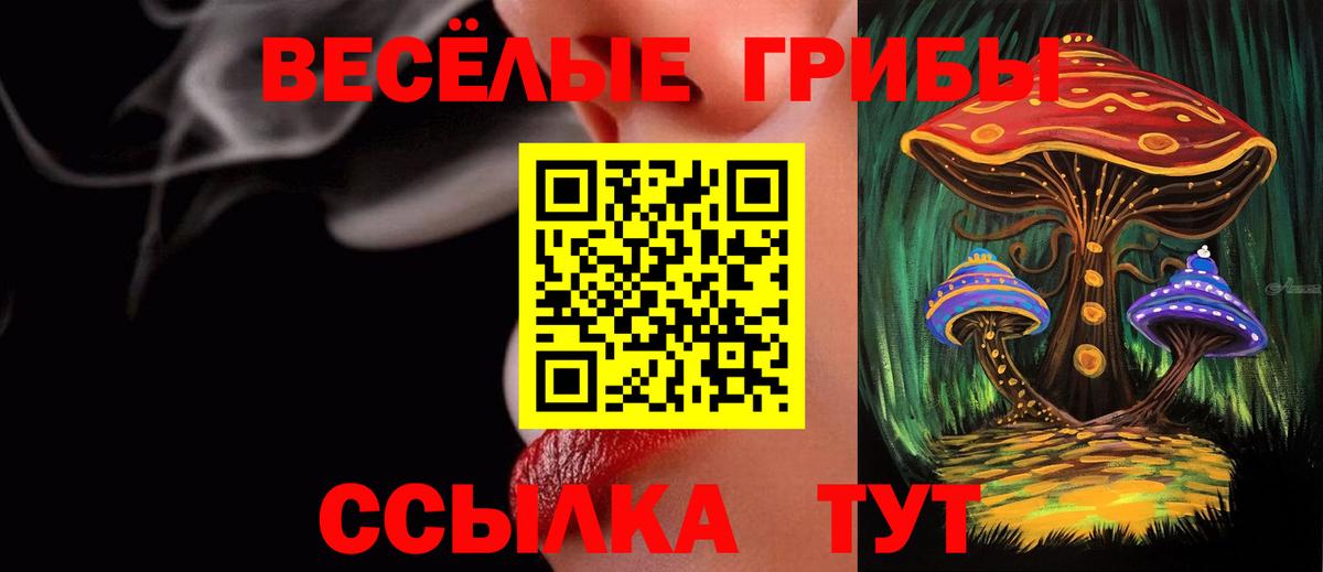 Топки  Псилоцибиновые грибы GOLDEN TEACHER  Галлюциногенные грибы Psilocybine cubensis  Вход с VPN 